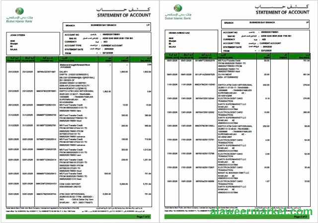 UAE Dubai Islamic Bank statement of account Word and PDF template, 2 pages